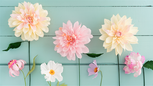 Tử vi Chủ nhật 26/1/2025 của 12 con giáp: Mùi rủng rỉnh, Dần hao hụt