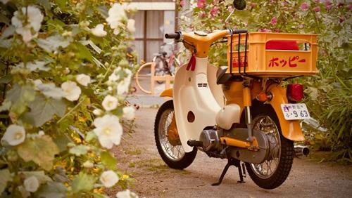 Tử vi thứ 4 ngày 8/1/2025 của 12 con giáp: Sửu may mắn, Mùi lắm lộc