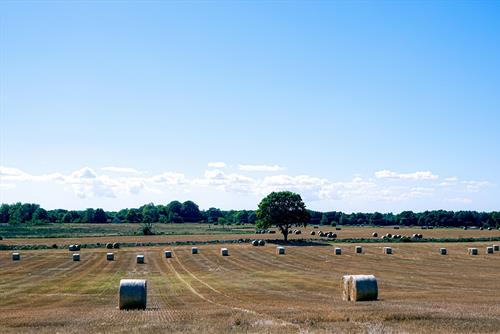 Tử vi Thứ 4 ngày 29/10/2025 của 12 cung hoàng đạo: Xử Nữ tỉ mỉ, Kim Ngưu phân tâm