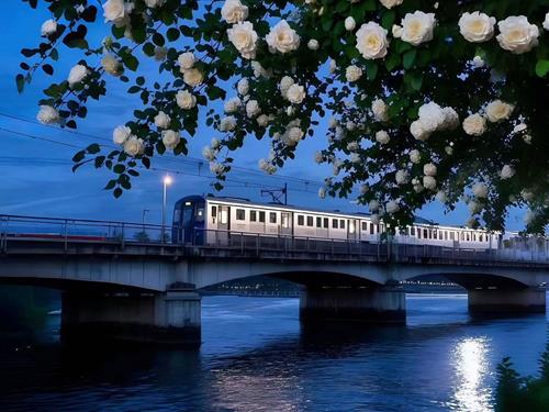 Tử vi thứ 7 ngày 1/11/2025 của 12 cung hoàng đạo: Nhân Mã tự tin, Ma Kết bối rối