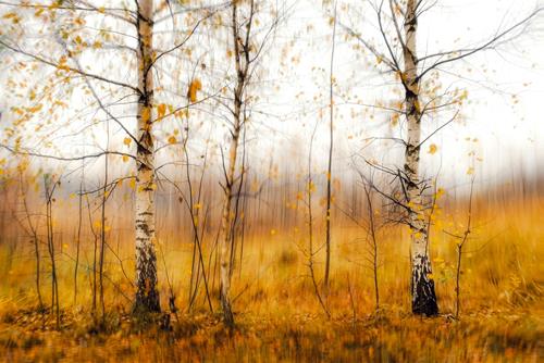 Tử vi Thứ 3 ngày 7/10/2025 của 12 cung hoàng đạo: Xử Nữ thư giãn, Nhân Mã nổi nóng