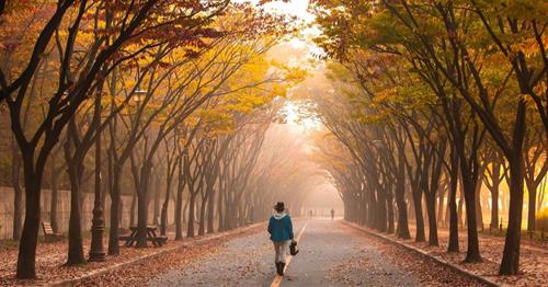 Tiết Hàn Lộ sương lạnh kéo về: 12 con giáp phải hết sức lưu ý ĐIỀU NÀY, bỏ qua sẽ kéo TỤT vận may cuối năm