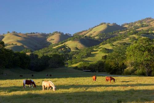 Tử vi thứ 5 ngày 20/11/2025 của 12 cung hoàng đạo: Sư Tử mạnh mẽ, Cự Giải bận