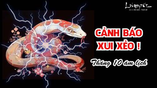 Tháng 10 âm vũ trụ gửi tín hiệu KHẨN cho 3 con giáp – Thời điểm may mắn sụt giảm, tĩnh tại quan sát chờ thời!