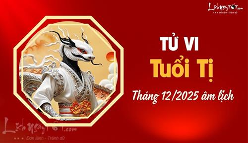 Tử vi tháng 12/2025 tuổi Tị âm lịch: May mắn top đầu, khởi SẮC mọi mặt
