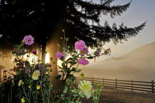 Tử vi thứ 7 ngày 29/11/2025 của 12 cung hoàng đạo: Xử Nữ mê tín, Nhân Mã vui