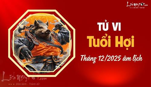 Tử vi tháng 12/2025 tuổi Hợi âm lịch: Số HƯỞNG có lộc được ăn chơi thoải mái