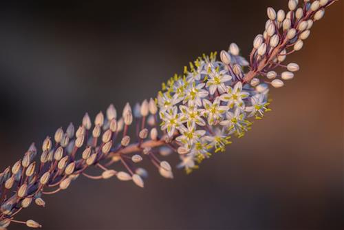 Tử vi thứ 2 ngày 1/12/2025 của 12 cung hoàng đạo: Nhân Mã lột xác, Song Tử ưa nhìn