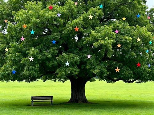 Tử vi thứ 5 ngày 6/11/2025 của 12 cung hoàng đạo: Nhân Mã bất an, Bạch Dương hài hước