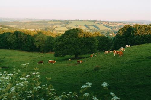 Tử vi thứ 2 ngày 22/12/2025 của 12 cung hoàng đạo: Xử Nữ cởi mở