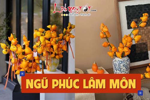 Tết Bính Ngọ 2026: Đừng chỉ chưng đào quất, sắm ngay chậu cây cảnh có quả VÀNG óng này để NGŨ PHÚC lâm môn, tiền vào ào ạt