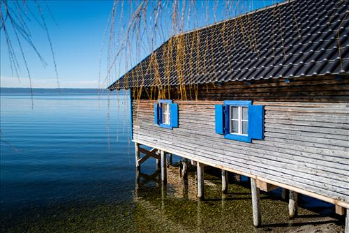 Tử vi thứ 3 ngày 30/12/2025 của 12 con giáp: Dần bận rộn, Mùi kỷ luật