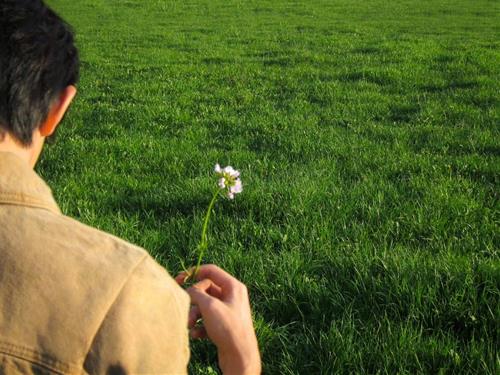 Tử vi thứ 7 ngày 6/12/2025 của 12 cung hoàng đạo: Song Tử khó ở, Cự Giải hướng nội