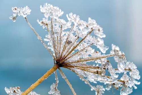 Tử vi thứ 5 ngày 11/12/2025 của 12 con giáp: Tý thông minh, Hợi vượt trội