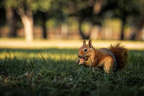 Tử vi Chủ Nhật ngày 7/12/2025 của 12 cung hoàng đạo: Cự Giải sáng tạo