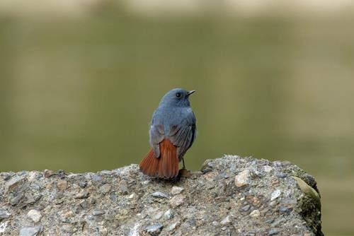 Tử vi Thứ 3 ngày 11/2/2025 của 12 cung hoàng đạo: Xử Nữ nhạy bén, Nhân Mã bốc đồng