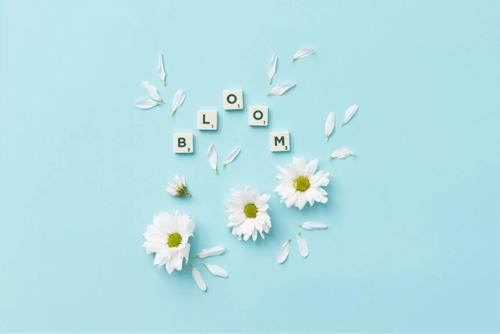 Tử vi thứ 7 ngày 15/2/2025 của 12 cung hoàng đạo: Sư Tử quyết liệt, Song Ngư căng thẳng