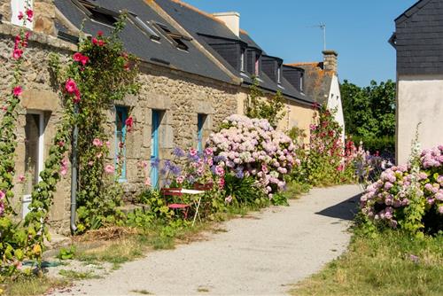 Tử vi thứ 4 ngày 12/2/2025 của 12 cung hoàng đạo: Sư Tử hào hứng, Thiên Bình tham việc