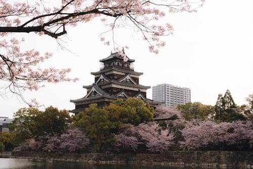 Tử vi Chủ Nhật ngày 16/3/2025 của 12 cung hoàng đạo: Sư Tử lạc lõng