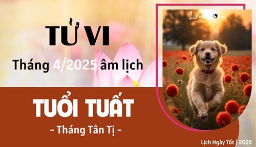 Tử vi tháng 4/2025 tuổi Tuất âm lịch: Tài lộc hanh thông dù đắp cho những nỗ lực không ngừng nghỉ