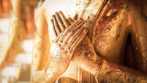 Phật dạy: Không ai xuất hiện hay ra đi mà không có lý do, mọi cuộc gặp gỡ đều nhằm mục đích này