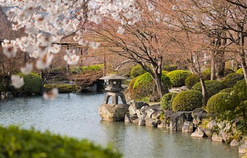 Tử vi thứ 4 ngày 12/3/2025 của 12 cung hoàng đạo: Thiên Bình khó khăn, Bạch Dương chủ động