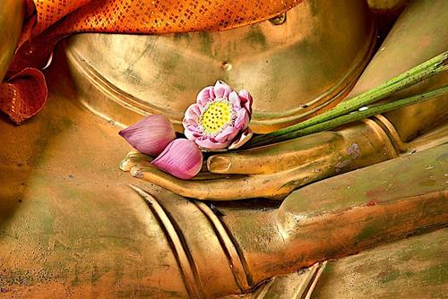 Khi thắp hương lễ Phật, hãy thầm niệm 2 câu này, mong cầu của bạn sẽ được đáp lại!