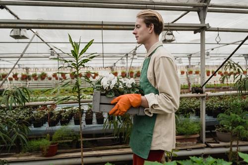 Tử vi tuần mới của 12 cung hoàng đạo (21-27/4/2025): Xử Nữ khó khăn, Bạch Dương may mắn