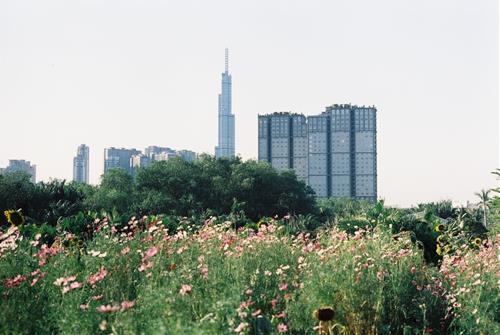 Tử vi Chủ nhật ngày 20/4/2025 của 12 con giáp: Ngọ nhiều tiền, Thân đa nghi