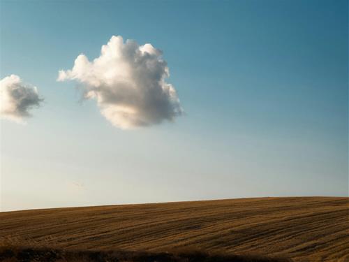 Tử vi thứ 5 ngày 24/4/2025 của 12 con giáp: Mão chịu khó, Thìn có tầm nhìn xa