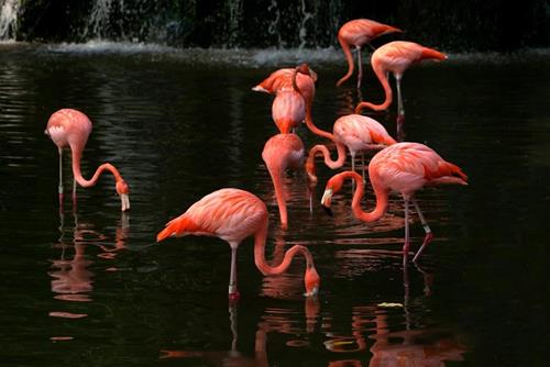 Tử vi thứ 6 ngày 30/5/2025 của 12 con giáp: Dần bị phá, Tý có tiền