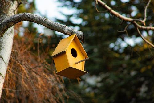 Tử vi Chủ Nhật ngày 25/5/2025 của 12 cung hoàng đạo: Thiên Bình may mắn