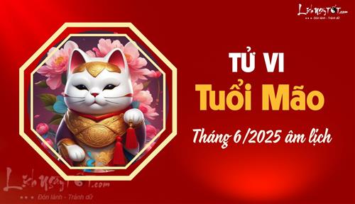 Tử vi tháng 6/2025 tuổi Mão âm lịch: Sinh khí thịnh vượng, tràn đầy năng lượng tích cực