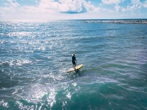 Tử vi Thứ 3 ngày 6/5/2025 của 12 cung hoàng đạo: Sư Tử bình yên, Ma Kết năng động