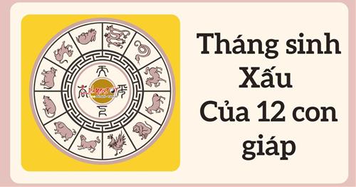 12 con giáp sinh vào tháng nào là KHỔ nhất? Tính theo tháng sinh âm lịch