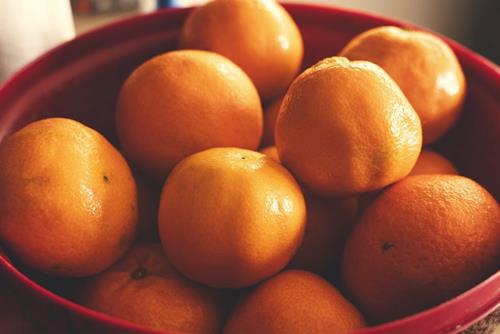 Tử vi thứ 7 ngày 17/5/2025 của 12 con giáp: Sửu tập trung, Mùi gặp thách thức