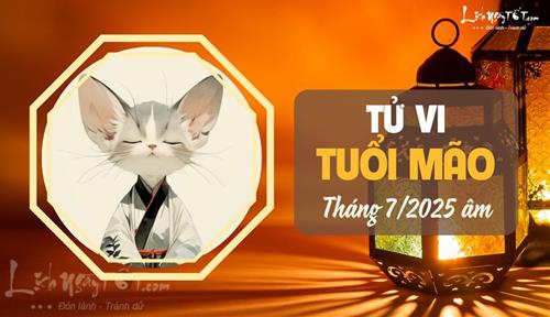 Tử vi tháng 7/2025 tuổi Mão âm lịch: Có vị thế trong công việc nhưng vẫn thận trọng với tiểu nhân
