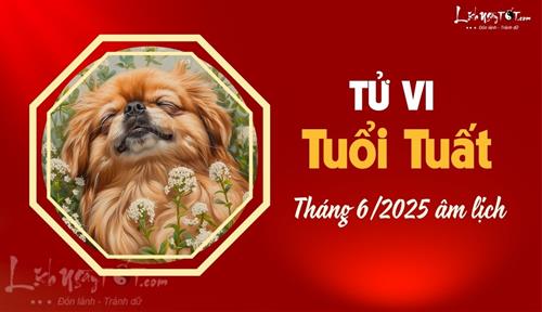 Tử vi tháng 6/2025 tuổi Tuất âm lịch: Vận khí sa sút, nhiều khó khăn chồng chất
