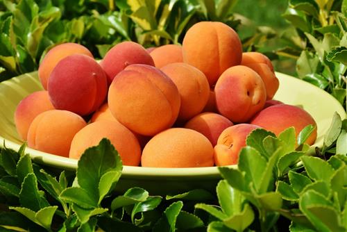 Tử vi tuần mới từ 14 - 20/7/2025 của 12 con giáp: Sửu tốn tiền, Mão đau lưng