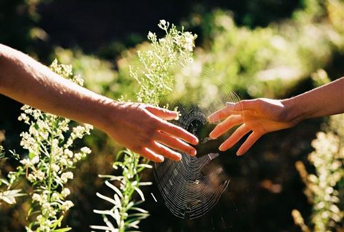 Đây là 3 con giáp có tỷ lệ ly hôn, chia tay cao nhất năm 2025