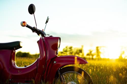 Tử vi Chủ nhật ngày 10/8/2025 của 12 con giáp: Sửu cẩn thận, Dần gặp may mắn