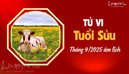 Tử vi tháng 9/2025 tuổi Sửu âm lịch: Tháo gỡ những trở ngại và khó khăn trước đó