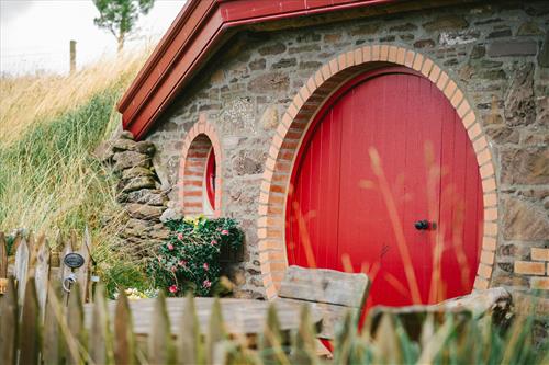 Tử vi Thứ 3 ngày 19/8/2025 của 12 cung hoàng đạo: Sư Tử chủ động, Hổ Cáp bận rộn