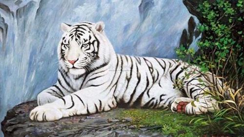 Tháng Cô hồn 2025: Hung tinh Bạch Hổ ghé thăm, 4 tuổi cần thận trọng với những rắc rối tìm đến tận cửa