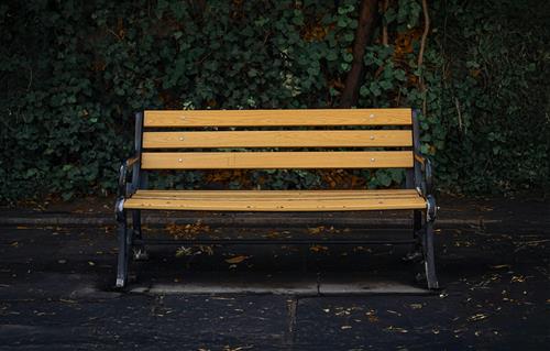 Tử vi thứ 3 ngày 2/9/2025 của 12 con giáp: Ngày Quốc Khánh, Dần và Ngọ trọn niềm vui!