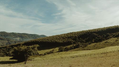 Tử vi Chủ Nhật ngày 24/8/2025 của 12 cung hoàng đạo: Nhân Mã kiên nhẫn