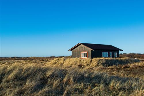 Tử vi Chủ Nhật ngày 31/8/2025 của 12 cung hoàng đạo: Nắm bắt năng lượng cuối tuần!