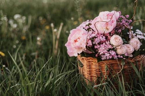 Tử vi thứ 4 ngày 3/9/2025 của 12 cung hoàng đạo: Ma Kết dễ ốm, Kim Ngưu dũng cảm