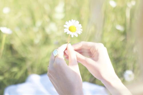 Cuối tuần này 13-14/9, cuộc sống ngọt ngào - Chúc mừng 3 con giáp có đường tình mỹ mãn