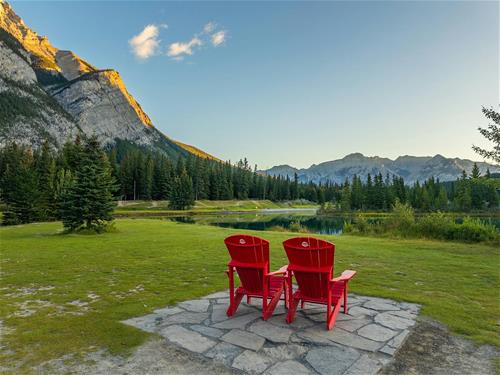 Tử vi tuần mới của 12 con giáp (22 - 28/9/2025): Tị bận rộn, Tuất rực rỡ